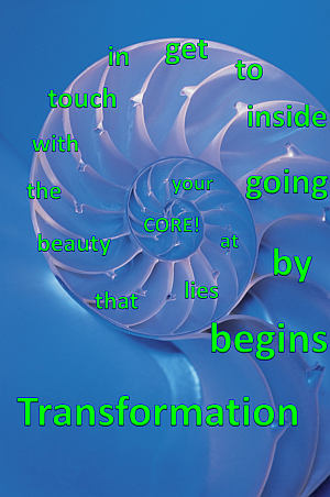 Transformation spiral shell